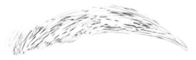 category image