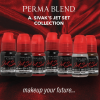 Permanent make up pigmentek PERMA BLEND - A.SIVAK JET SET